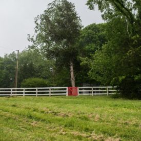 Red gate between house and field.